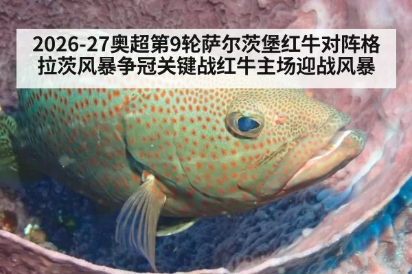 2026-27奥超第9轮萨尔茨堡红牛对阵格拉茨风暴争冠关键战红牛主场迎战风暴